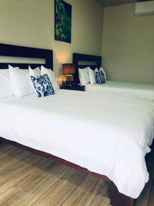 Lisa Loft Boutique Apartment La Fortuna Ngoại thất bức ảnh