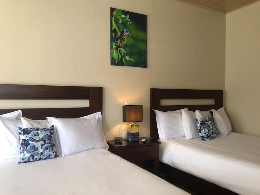 Lisa Loft Boutique Apartment La Fortuna Ngoại thất bức ảnh
